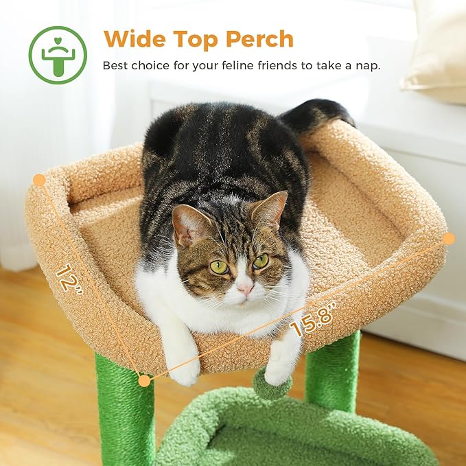 PEQULTI Cat Tree Cactus Cat Tower for Indoor Cats with Private Cozy Cat Condo, Natural Sisal Scratching Posts and Plush Pom-pom for Small Cats Green