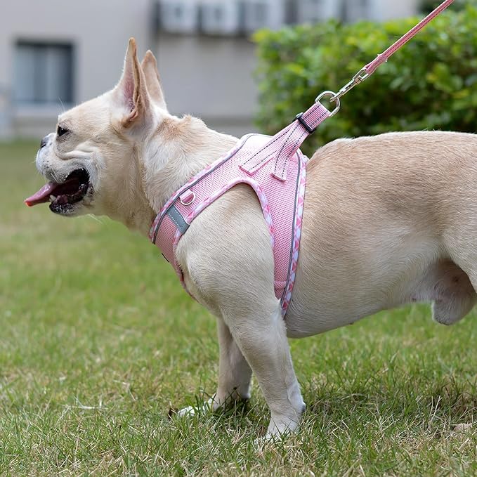 Mercano Soft Mesh Dog Harness and Leash Set, No-Chock Step-in Reflective Breathable Lightweight Easy Walk Vest Harnesses with Safety Buckle for Small Dogs, Cats (Pink, XXS)