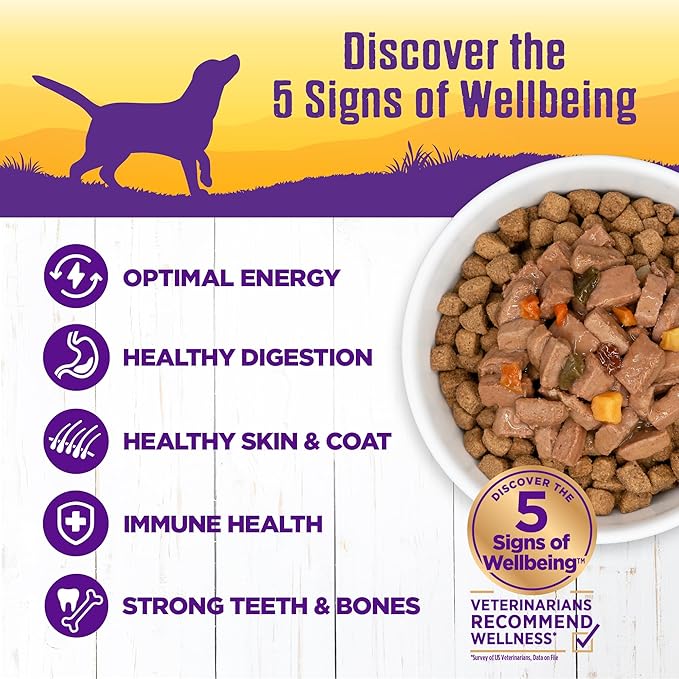 Wellness Complete Health Thick & Chunky Natural Grain Free Canned Wet Dog Food, Turkey & Duck Stew, 12.5-Ounce Can (Pack of 12)