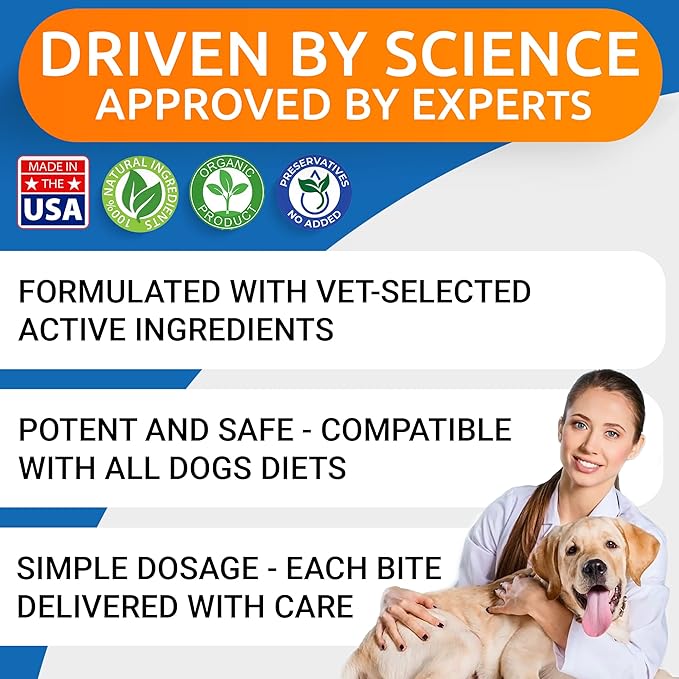 Glucosamine Chondroitin Dog Hip & Joint Supplement - Joint Pain Relief - Hip & Joint Chews for Dogs - Joint Support Large Breed - Senior Doggie Vitamin Pills Joint Health - (360 Treats - Chicken)