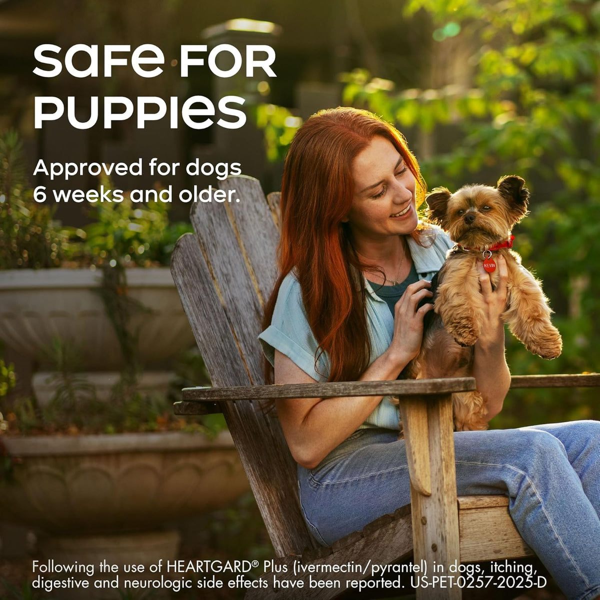 HEARTGARD® Plus (ivermectin/pyrantel) Real-Beef Chewables for Dogs 51 -100 lbs (Brown Box) 1 Month Supply of Chews (Heartworm Disease Preventive)