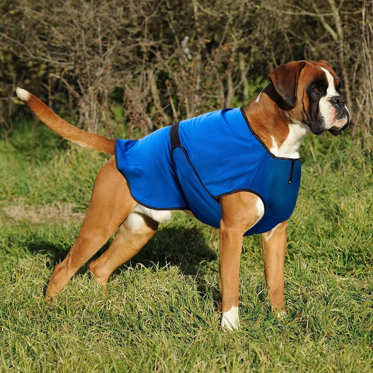 Dog Cooling Vest – Lightweight Summer Jacket for Dogs with Zip Neck & Velcro – Easy On/Off Cooling Coat for Walks, Travel & Outdoors