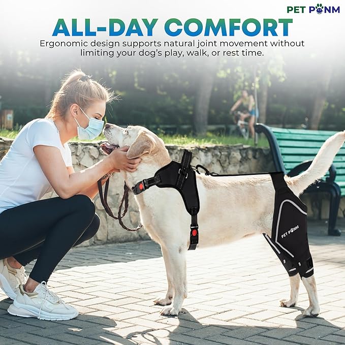 Petpanm- Adjustable Dog Knee Brace- Right Hind Leg with Integreted Harness- Premium Support for Torn ACL, Sprains & Strains Recovery, Enhances Mobility, Comfortable Neoprene.(Large)