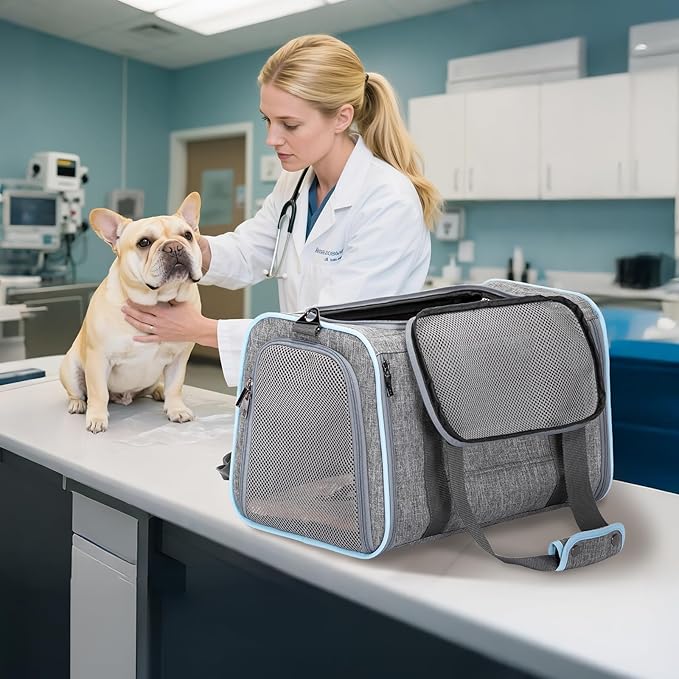 Petsfit Expandable Pet Carrier, 19x12x12 inches Soft-Sided Portable Cat Carrier Dog Carrier, with Removable Plush Mat, Locking Safety Zippers and Pockets
