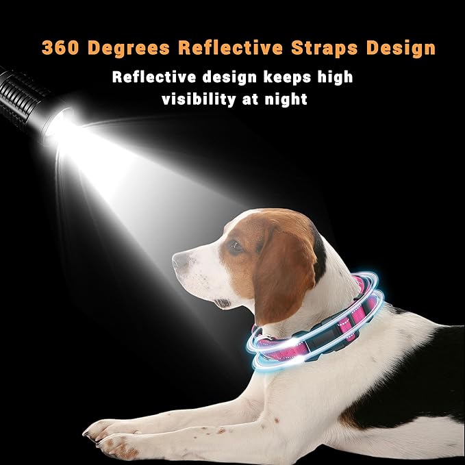 2 Pack Reflective Dog Collar with Safety Locking Buckle, Adjustable Soft Breathable Comfortable Nylon Pet Collar for Small, Medium and Large Dogs, Hotpink, XL