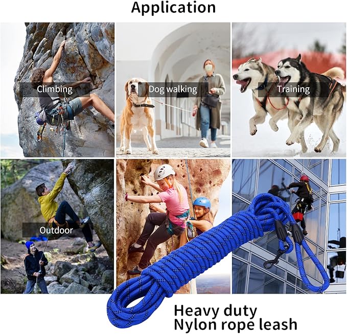 Long Dog Leash for Training 50Ft-Reflective Nylon Rope with Swivel Hook-Recall Agility Lead for Large Small Medium Dogs Outside Walking Hiking-Royal Blue Diam 1/2"