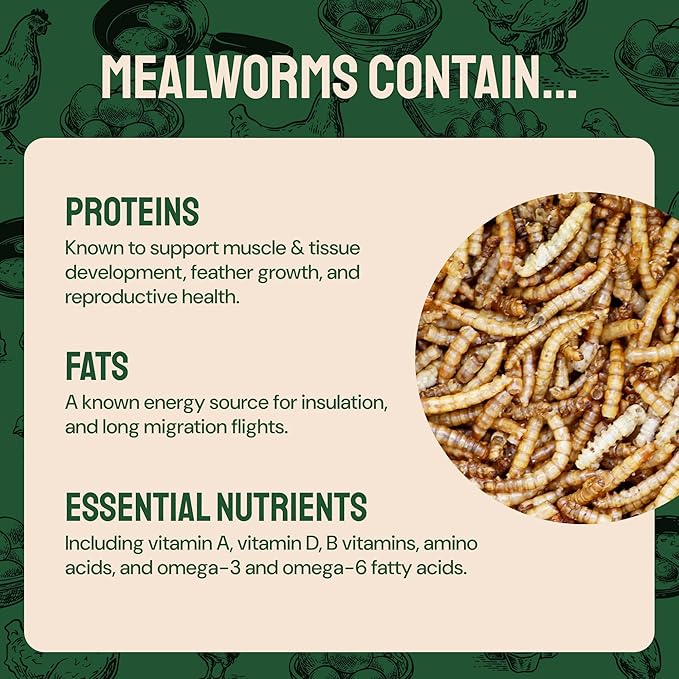 Dried Mealworms - 2 Lb Bag - High Protein Chicken Feed, Mealworms for Birds & Chickens - Meal Worms for Wild Birds & Turtles
