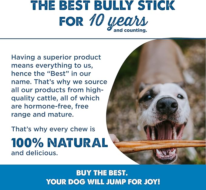 Best Bully Sticks 12 Inch Bully Sticks for Dogs - 3 Count (Pack of 1) - Natural, Easily Digestible, 100% Grass-Fed Beef, Grain and Rawhide Free - Trial Size