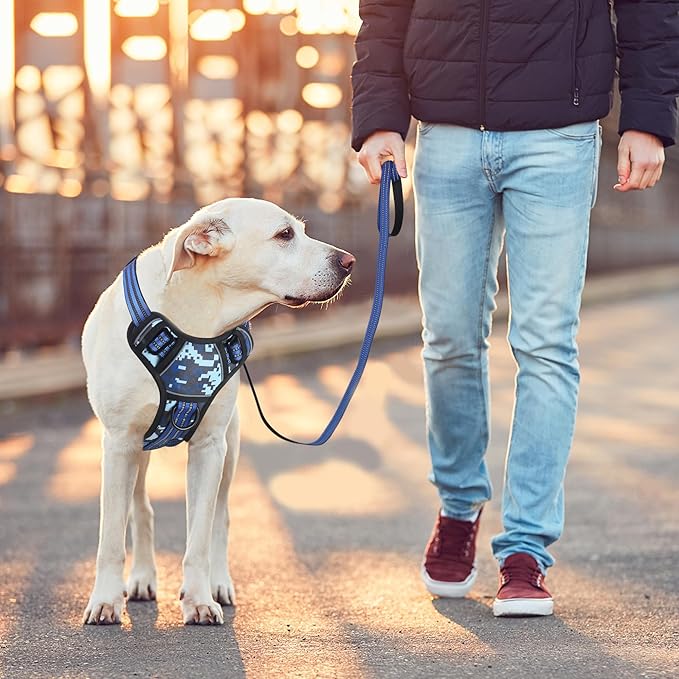 BUMBIN Dog Harness for Large Dogs, No Pull Adjustable No Choke Pet Vest with Dog Leash Fit Smart Reflective Pet Walking Harness for Training Easy Control Soft Handle Blue Camo M