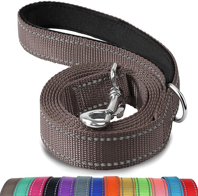 Joytale Double-Sided Reflective Dog Leash, 6 FT/5 FT/4 FT, Padded Handle Nylon Heavy Duty Leashes for Small & Medium Dogs Walking, Brown, 5FT