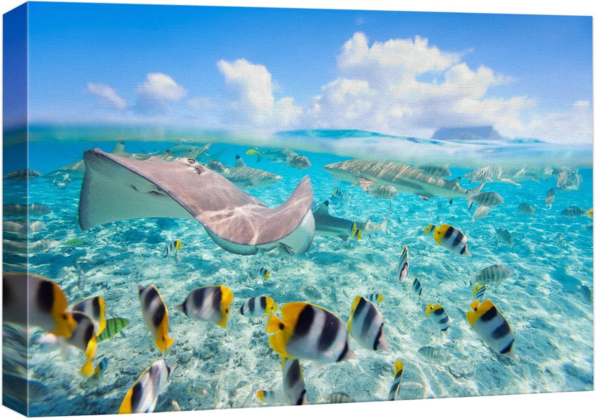 wall26 Canvas Print Wall Art Stingray & Striped Fish Under The Sea Nature Ocean Photography Realism Nautical Scenic Relax/Calm Multicolor Ultra for Living Room, Bedroom, Office - 12"x18"