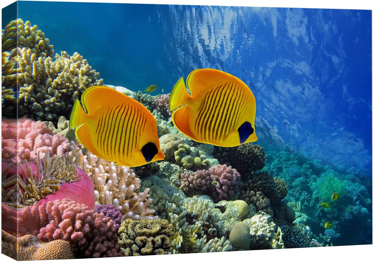 wall26 Canvas Print Wall Art Tropical Yellow Fish with Vibrant Coral Reef Nature Ocean Photography Realism Nautical Scenic Relax/Calm Multicolor Ultra for Living Room, Bedroom, Office - 32"x48"