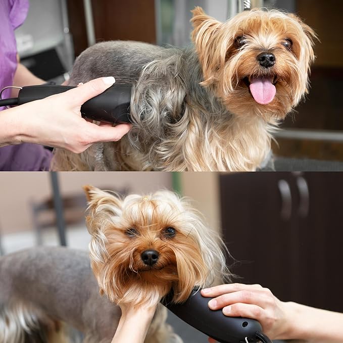 Detachable A Series 3 3/4 Skip Tooth Blades for Dog Grooming Cut Length 1/2" - 13mm -Skip Tooth Japanese Carbonized Steel Skip Tooth Clipper Blades Compatible A5 Series(3 3/4SK)