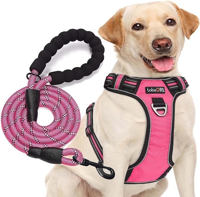 No Pull Dog Harness Adjustable Reflective Oxford Easy Control Medium Large Dog Harness with A Free Heavy Duty 5ft Dog Leash