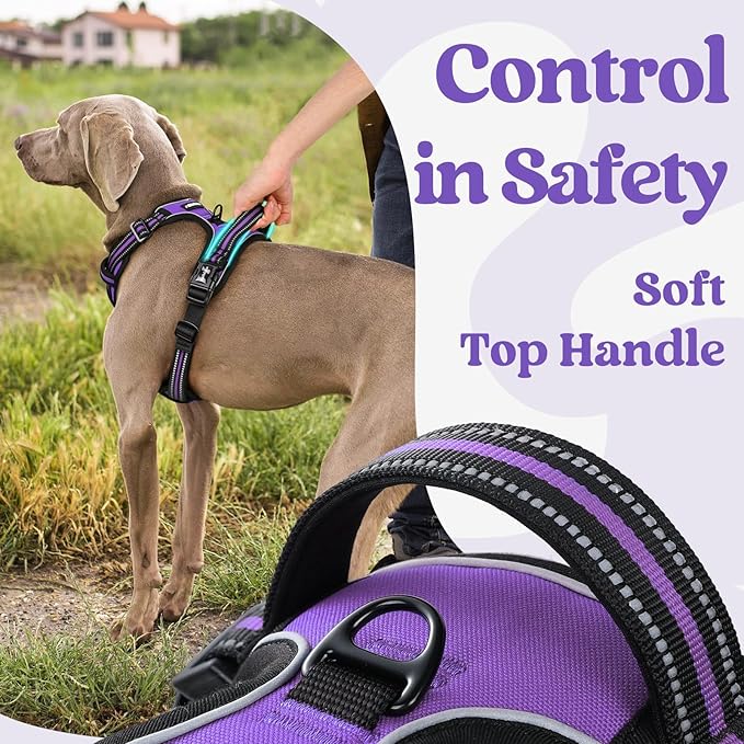 rabbitgoo Dog Harness for Large, No Pull Pet Harness with 3 Buckles, Adjustable Soft Padded Vest with Control Handle, Walking Reflective Pet Vest for Extra Large Dogs, Purple, XL
