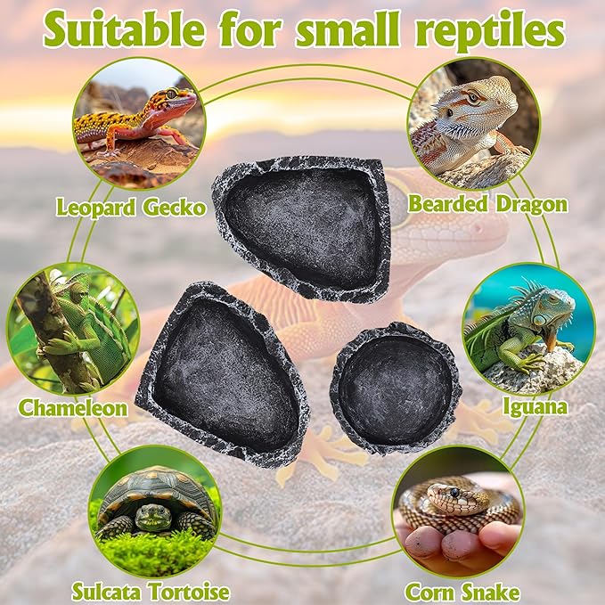3 Pack Reptile Water Dish, Samll Snake Water Bowl, Leopard Crested Gecko Tank Accessories, Bearded Dragon Food Dish, Feeding Dish Kit for Tortoise, Lizard, Frog, Hermit Crab (3 Pack)