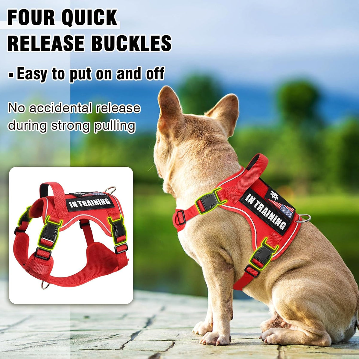 WINSEE Service Dog in Training Harness with 5 PCS Patches, Reflective Tactical Dog Vest Harness, Adjustable Soft Oxford Pet Harness with Easy Control Handle, Hook & Loop Panels for Walking Hiking