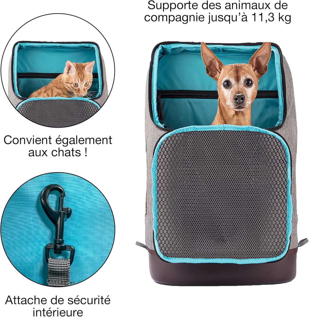 Kurgo Dog Carrier Backpack for Small Pets - Dogs & Cats | TSA Airline Approved | Cat | Hiking or Travel | Waterproof Bottom | G-Train | Ruck Sack | Heather Grey