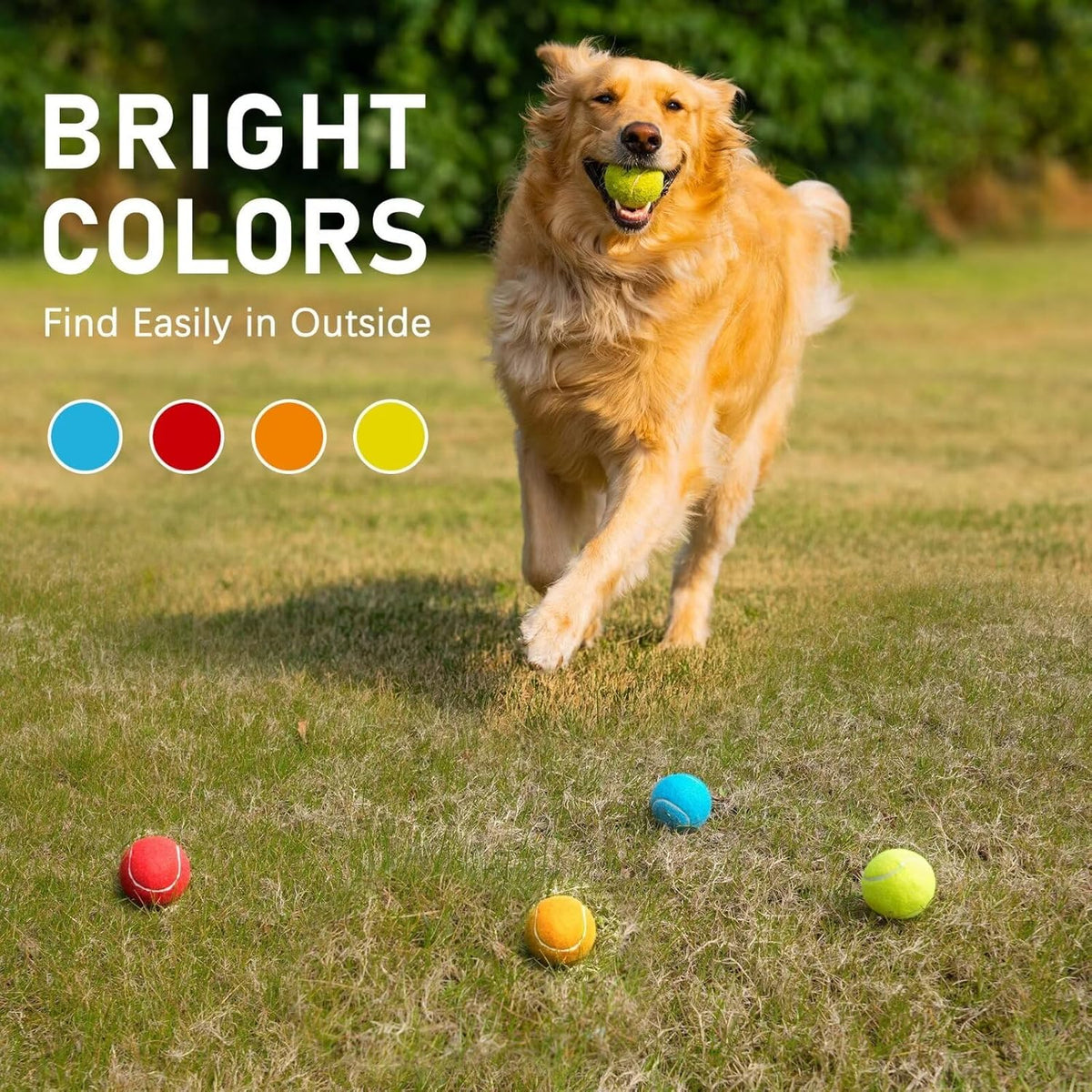 Prime Pets Tennis Balls for Dogs, 2.5 Inch Squeaky Dog Toys, Interactive Pet Dog Toy Balls for Medium, Large Dogs, Squeaky Tennis Balls for Dogs