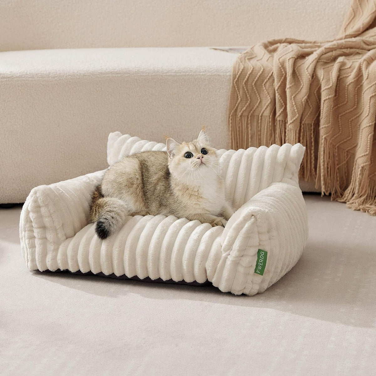 Cute Couch Bed for Pets, Supportive Cat Sofa for Indoor Cats, Small Dog Sofa Bed for Small Dogs, Cream, 24 inches