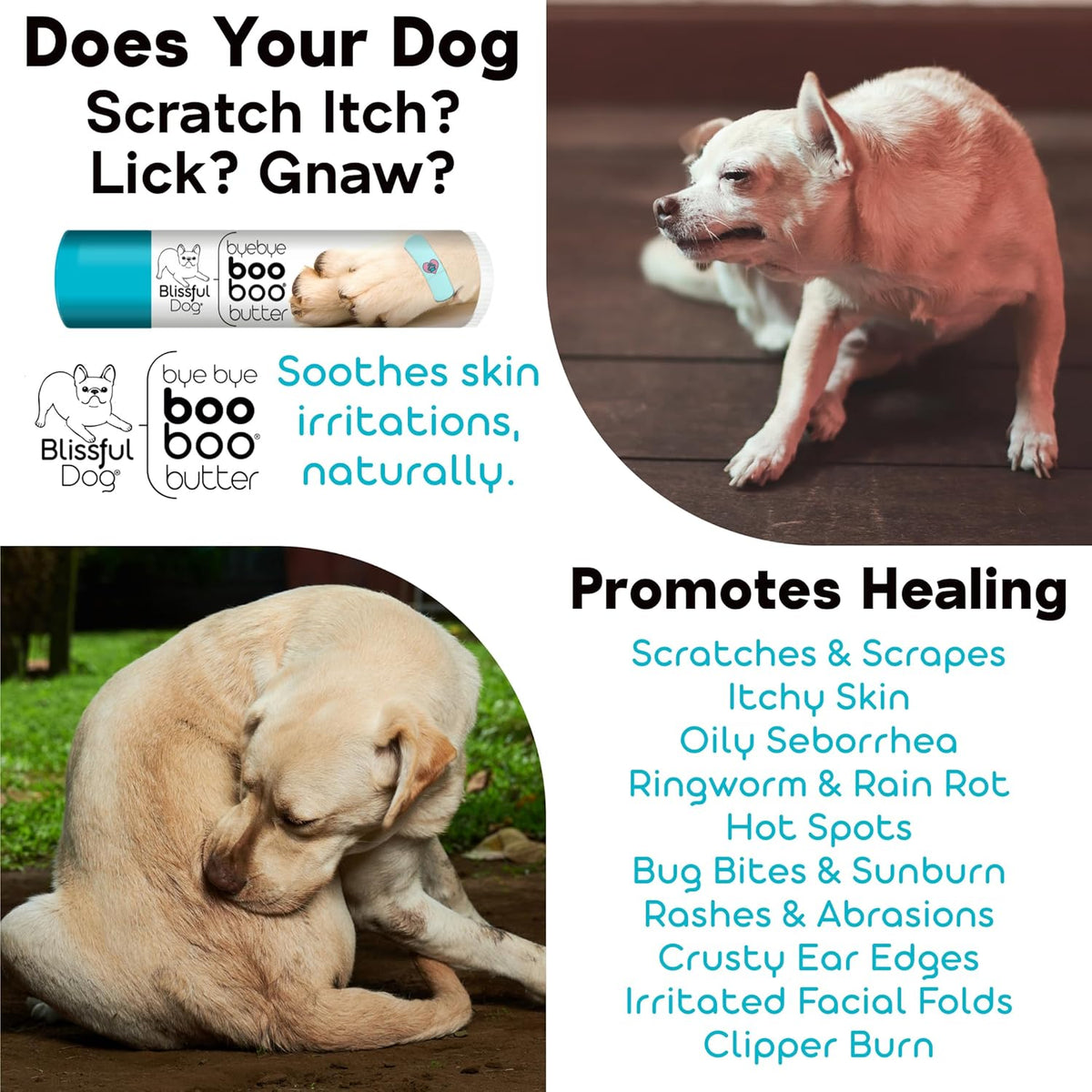 The Blissful Dog Papillon Boo Boo Butter, 0.50-Ounce