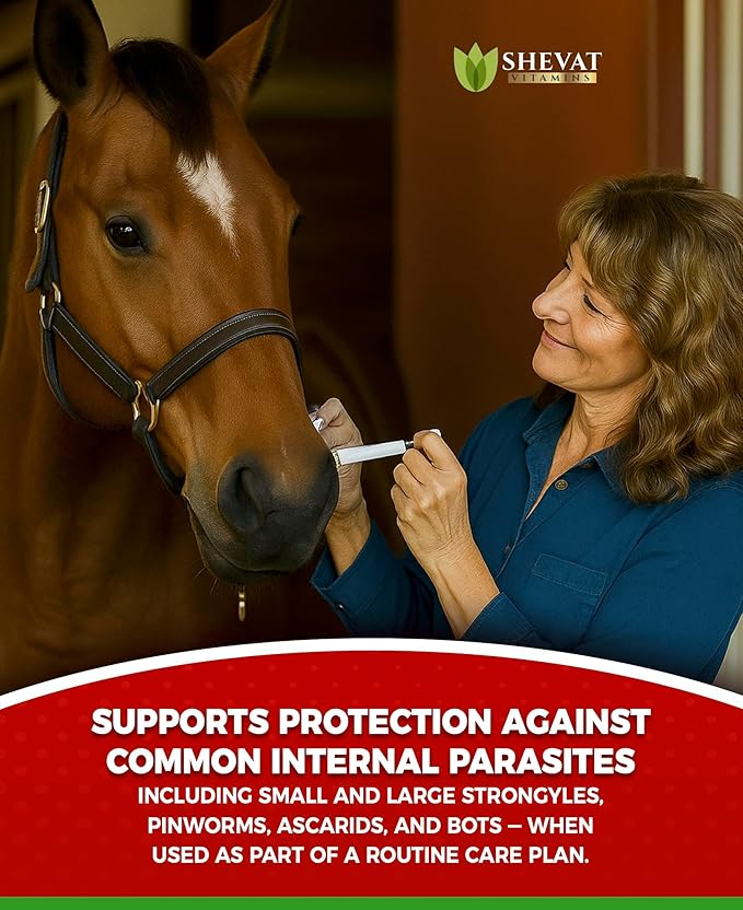 Ivermectin Horse Paste 1.87% – Apple Flavored – 6.08g Tube – for Horses Up to 1250 lb - 1 Pack