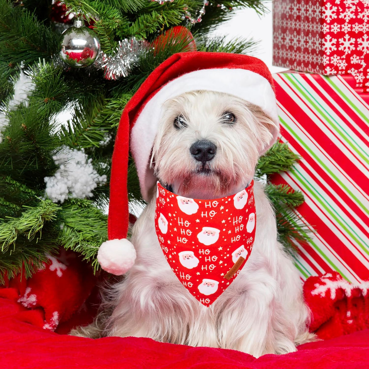 ADOGGYGO Christmas Dog Bandanas, Snowman Santa Xmas Pet Scarf, Multi Size Offered, Red Green Christmas Bandana for Small Dogs Pets (Small)