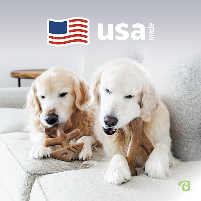 Benebone 2-pack Fishbone/Wishbone Durable Dog Chew Toys, Real Fish, Real Bacon, Made in USA, Large