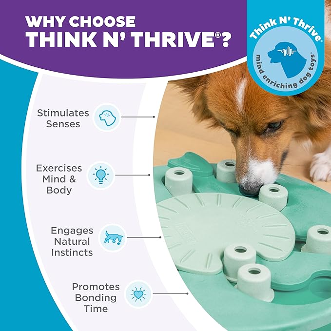 Outward Hound by Nina Ottosson Dog Worker Treat Puzzle Enrichment Toy, Level 3 Advanced, Green