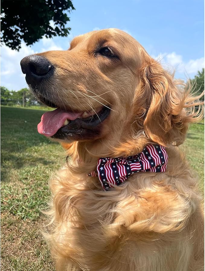 Lionheart glory American Flag Dog Collar, 4 of July Dog Bow Collar Heavy Duty Adjustable Patriotic Dog Collar with Bowtie for Small Dogs Pet Gift