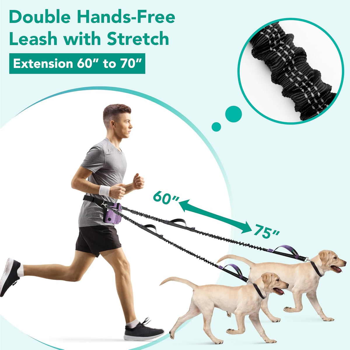 PetAmi Premium Hands Free Dog Leash for 2 Dogs, Adjustable Waist Belt Leash for Dog Walking, Fanny Pack Accessories Bag Dual Bungee Leash for Running, Hiking, Jogging, Biking, Purple