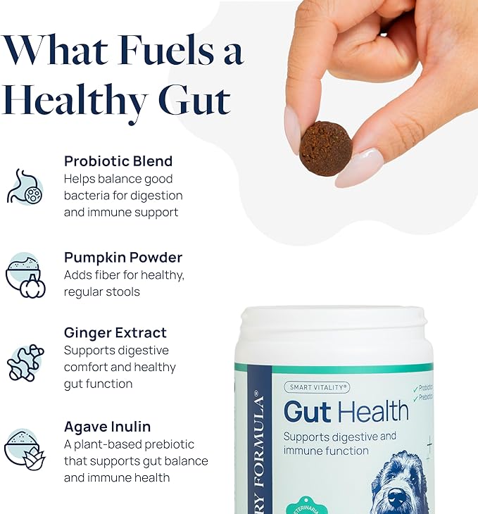 Veterinary Formula Gut Health Supplement for Dogs – Vet-Formulated Probiotic Chews with Digestive Enzymes & Fiber – Smart Vitality Supports Digestive Health, Gut Balance & Stool Quality, 60 Soft Chews