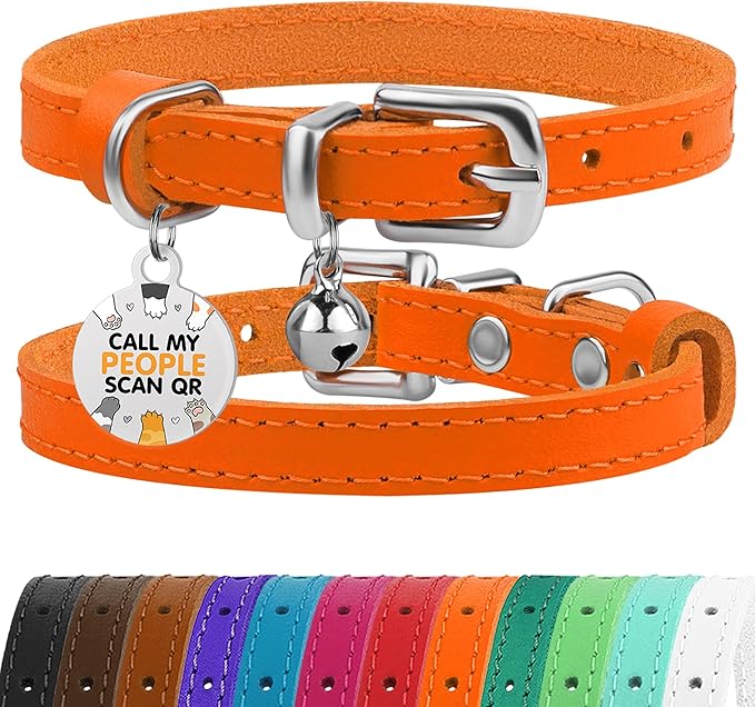 BRONZEDOG Leather Cat Collar with Removable Bells Non Breakaway Kitten QR Tag for Girl Boy (9" - 12" Cats/Mini Dogs, Orange & Silver)