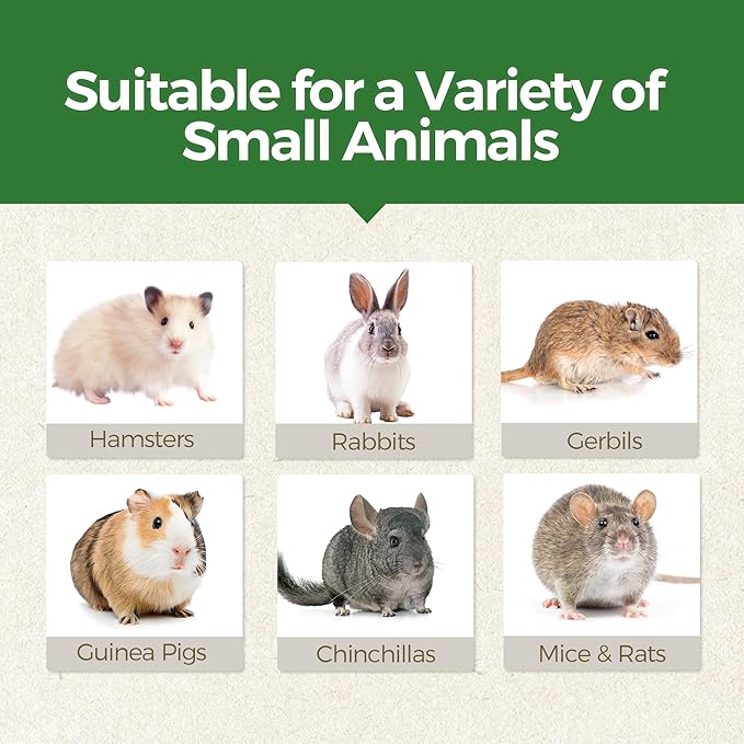 TEEWY Guinea Pig Chew Toys, Prevent Teeth Overgrowth, Natural Timothy Grass & Vegetables, Hamster Chew Toys, Guinea Pig Toys, Chinchilla Toys, 4PCS, Grass Patch & Mushrooms