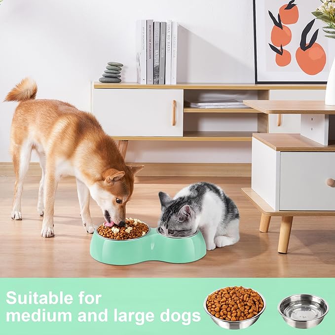 Elevated Dog Bowls Set - Non-Slip Raised Pet Feeder with Medium (2 Cups) & Large (4 Cups) Stainless Steel Bowls - Includes Durable Resin Stand for Puppies, Adult Dogs & Cats - Green