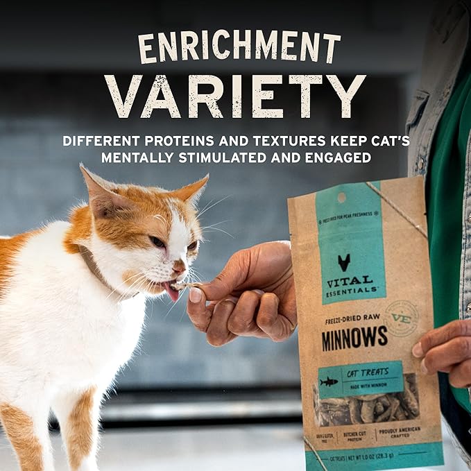 Vital Essentials Rabbit Bites Cat Treats, 0.9 oz | Freeze-Dried Raw | Single Protein | Grain Free, Gluten Free, Filler Free