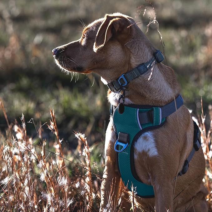 Embark Adventure Dog Harness, No-Pull Reflective Trim Dog Harness for Small, Medium & Large Dogs - Military Grade Nylon, 2 Leash Clips & Gel Lined Handle. Soft & Padded Puppy Dog Vest for Any Breed