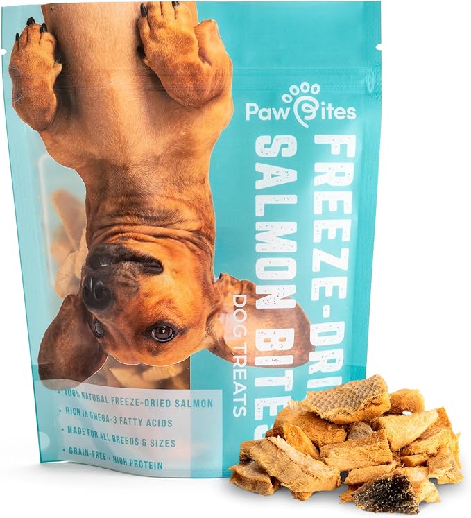 Freeze Dried Dog Treats - Wild Caught Salmon - Dog Food Dry Snacks - with Protein & Omega 3s - for All Breeds & Sizes - No Artificial Flavors & Dyes, No Preservatives - 1 Pouch, 4 oz