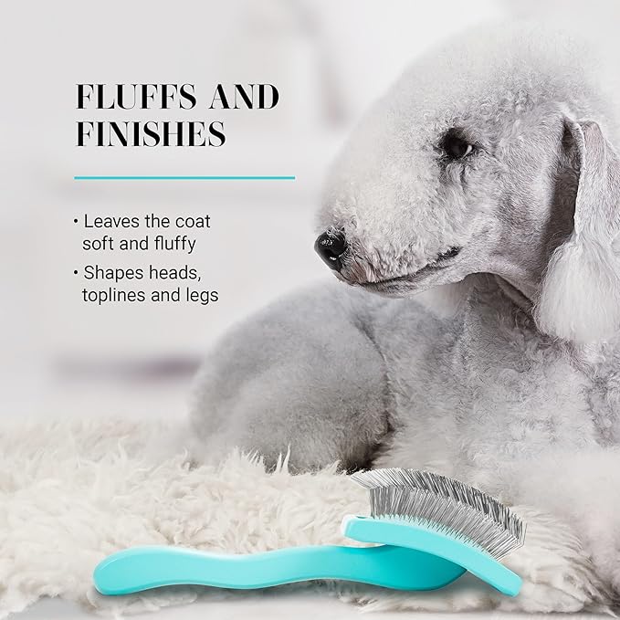 Chris Christensen Big G Dog Slicker Brush for Dogs (Goldendoodles, Labradoodles, Poodles), Groom Like a Professional, Fluff Detangle Style, Saves Time Energy, Teal, Medium