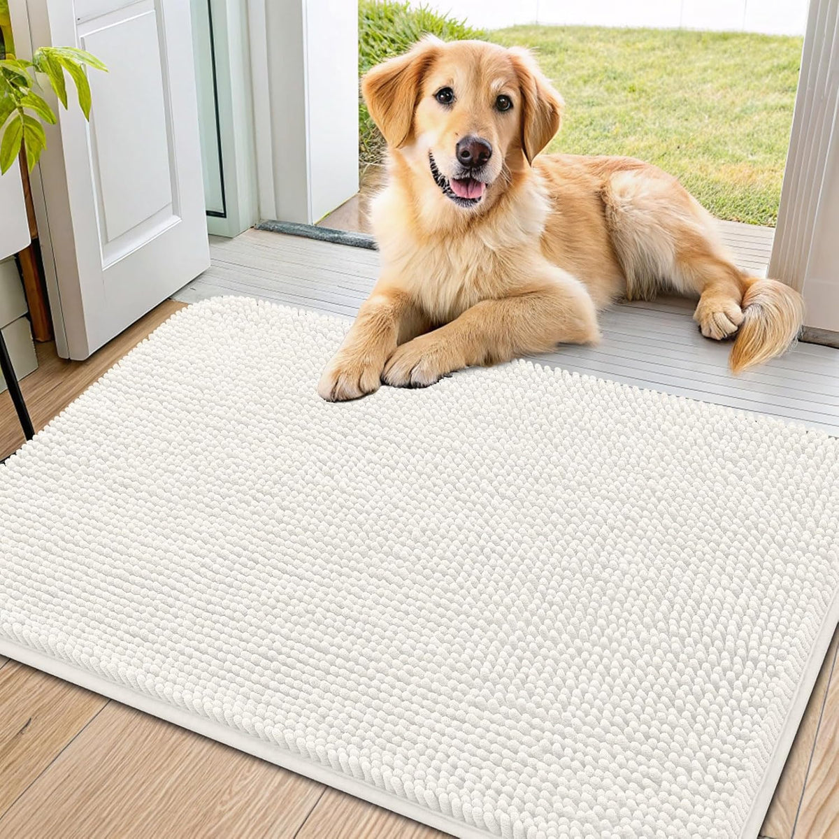 Smiry Dog Door Mat for Muddy Paws 36x24, Absorbs Moisture and Dirt Doormat, Non-Slip Washable Quick Dry Chenille Front Door Mat Indoor Entrance, Entryway Carpet for Inside Floor, Ivory