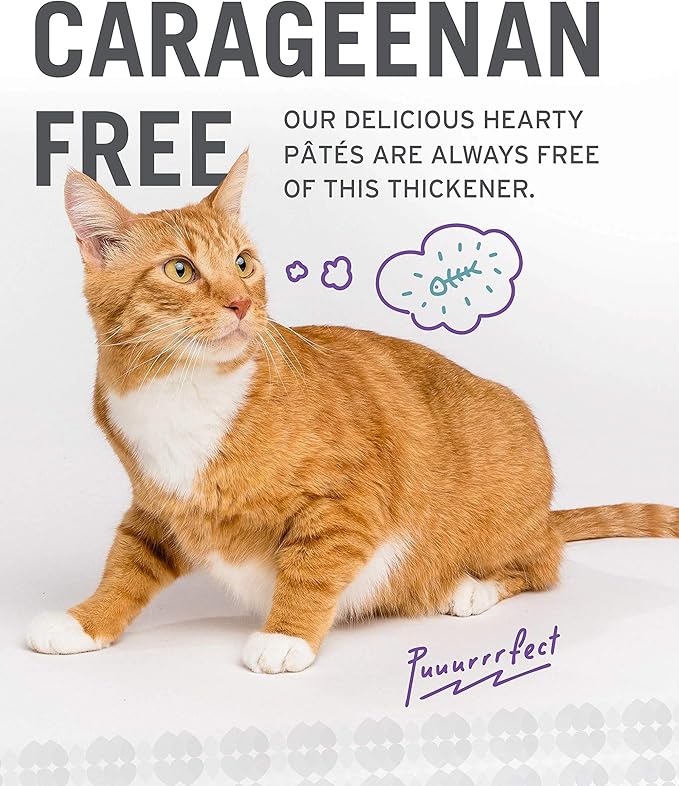 I AND LOVE AND YOU Naked Essentials Canned Wet Cat Food - Variety Pack: Beef Recipe, Salmon+Chicken Recipe, Turkey Recipe, 3-Ounce, Pack of 12 Cans, variety pack pate; beef, salmon, turkey