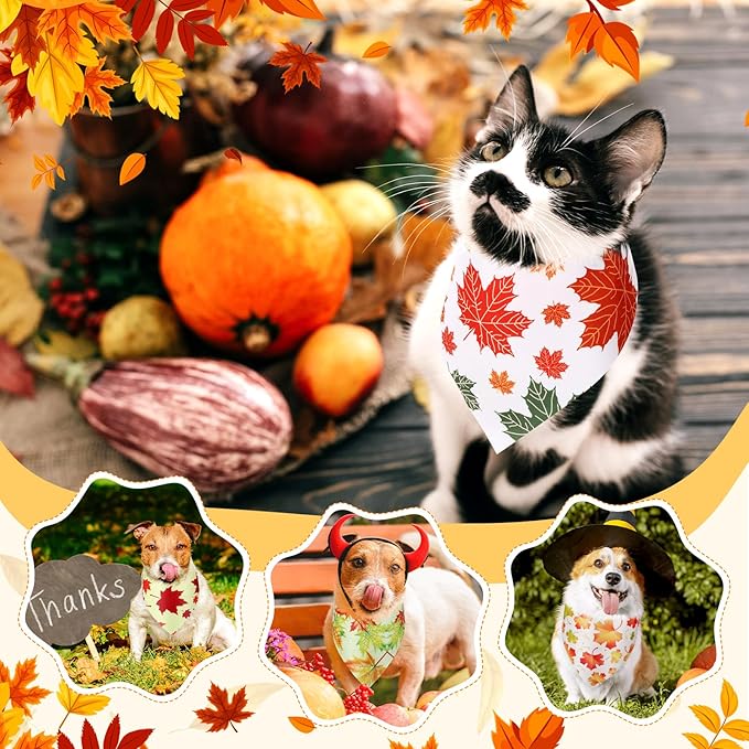 Abbylike 200 Pcs Fall Dog Bandanas Bulk Maple Leaves Bandanas for Dog Pet Triangle Kerchief Bibs Scarf for Fall Autumn Thanksgiving Costume Photo Props Accessories Pet Shops Adoption Events, 25 Styles