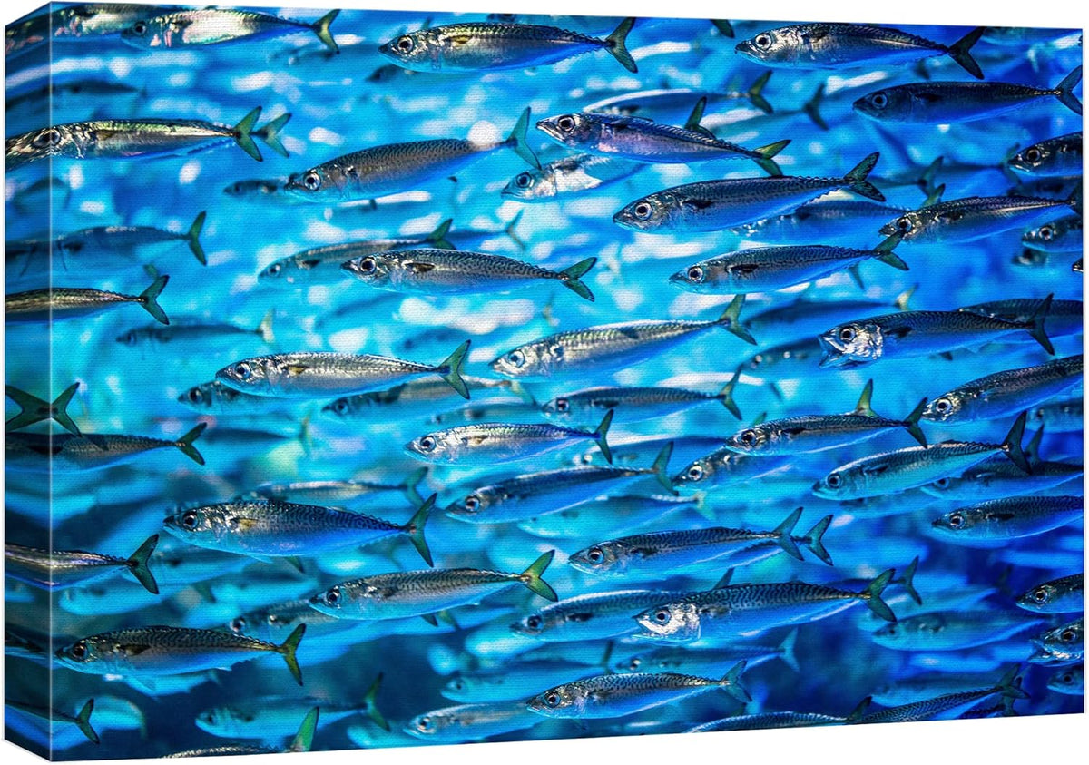 wall26 Canvas Print Wall Art Close Up Sardine School of Fish Underwater Nature Animals Photography Realism Rustic Scenic Landscape Wilderness Earth for Living Room, Bedroom, Office - 24"x36"