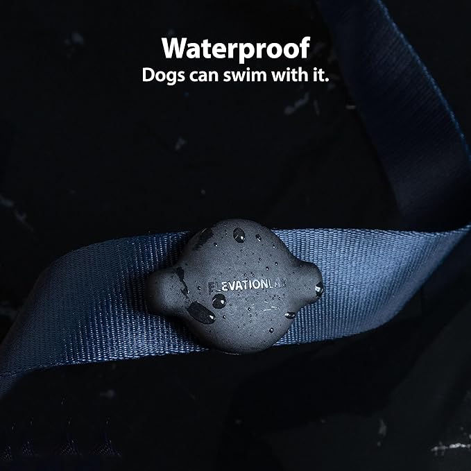 Elevation Lab TagVault™ Compact AirTag Dog Collar Mount (2 Pack) - IP68 Waterproof, Doesn't Dangle, Fits All Width Collars