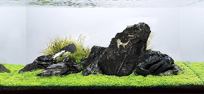 LANDEN Dark SEIRYU Stones Natural Rocks (3~11 inches,11pcs) x2 40Lx 2 Cases Total 80L 37lbs for Aquarium, Paludarium, Terrariums, Landscaping Rocks, Decorative Aquarium Rocks