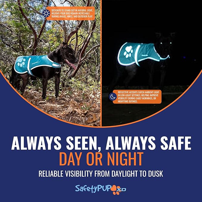 Dog Reflective Vest – Hi-Vis Fluorescent Visibility That Helps to Safeguard Your Pet On/Off Leash in Urban & Rural Areas (Teal, Small)