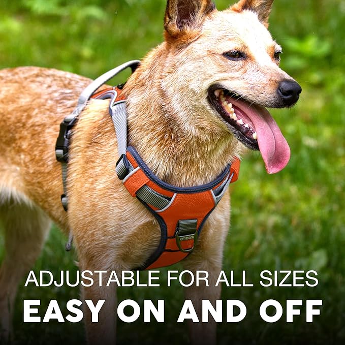 Embark Adventure Dog Harness, No-Pull Reflective Trim Dog Harness for Small, Medium & Large Dogs - Military Grade Nylon, 2 Leash Clips & Gel Lined Handle. Soft & Padded Puppy Dog Vest for Any Breed