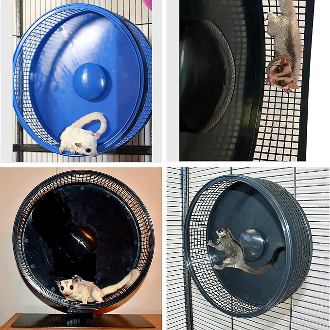 Silent Runner Pro | Sugar Glider Exercise Wheel (Blue with Attachment)