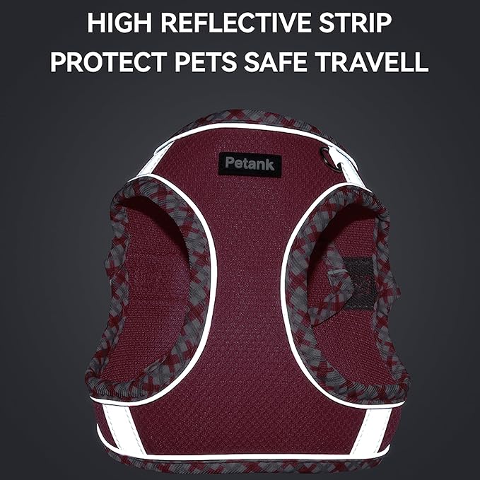 Petank Dog Harness for Small Medium Dogs No Pull, Puppy Harness and Leash Set for Walking, Running, Training, Small Dog Harness, Medium Dog Harness (Rose Red, XS)