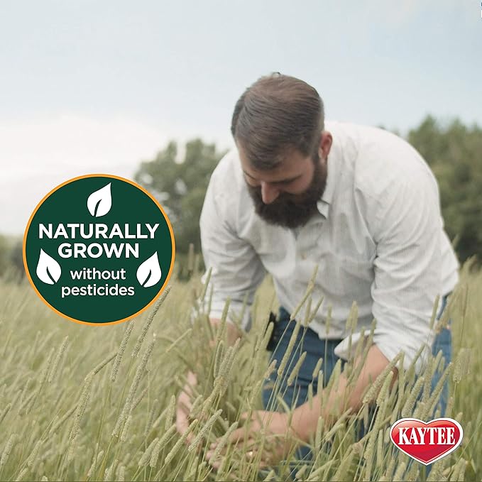Kaytee All Natural Timothy Hay Wild Meadow Hay Blend for Guinea Pigs, Rabbits & Other Small Animals, 24 Ounce